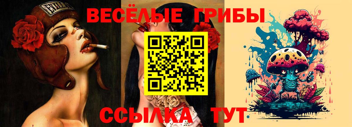 Галлюциногенные грибы GOLDEN TEACHER  Вход с VPN  сколько стоит  Галлюциногенные грибы Psilocybe  Острогожск 